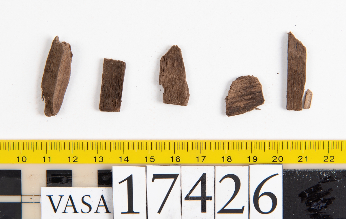 Ett stort, fragmentariskt läderstycke, två mindre läderfragment samt fem små träbitar.
I mitten av läderstycket har en trekantigt formad bit av lädret skurits ut. Längs med ytterkanterna och den trekantiga utskärningen löper stygnshål. Lädret är spaltat och endast köttsidan kvarstår.
Träbitarna är fuktiga och mäter mellan 15 och 30 mm i längd och ca 10 mm i bredd.