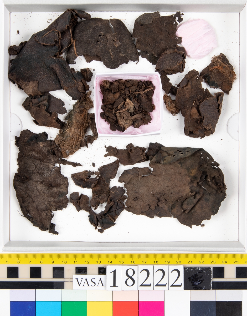 Ett 40-tal större och mindre fragment från sko. På några av fragmenten finns hål efter stygn. På vissa fragment har köttsidan släppt från narvsidan. Tillsammans med lädret ligger också ett mycket fuktigt, halmliknande material.