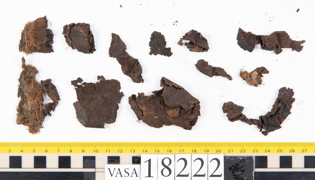 Ett 40-tal större och mindre fragment från sko. På några av fragmenten finns hål efter stygn. På vissa fragment har köttsidan släppt från narvsidan. Tillsammans med lädret ligger också ett mycket fuktigt, halmliknande material.