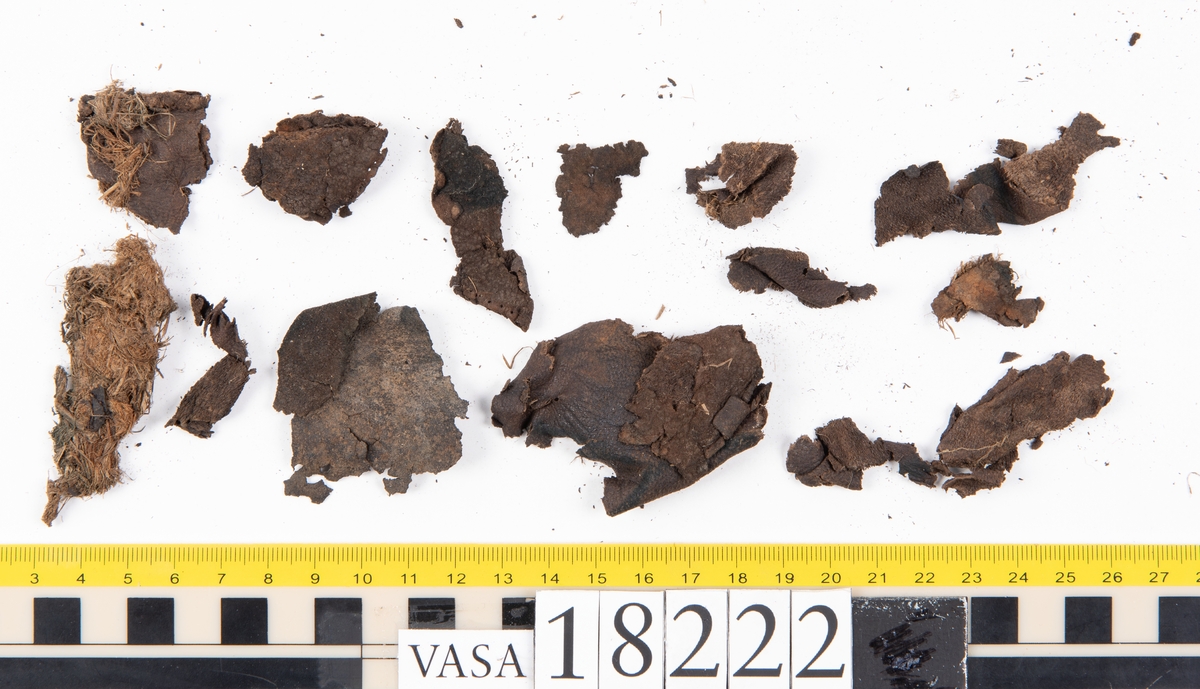 Ett 40-tal större och mindre fragment från sko. På några av fragmenten finns hål efter stygn. På vissa fragment har köttsidan släppt från narvsidan. Tillsammans med lädret ligger också ett mycket fuktigt, halmliknande material.