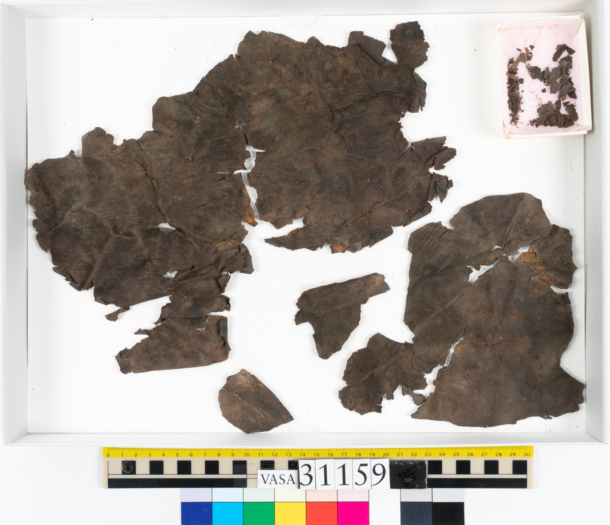 Två större läderstycken samt ett tjugotal mindre fragment, troligtvis från stövelskaft. Lädret har rostliknande utfällningar samt är spaltat och sprött.