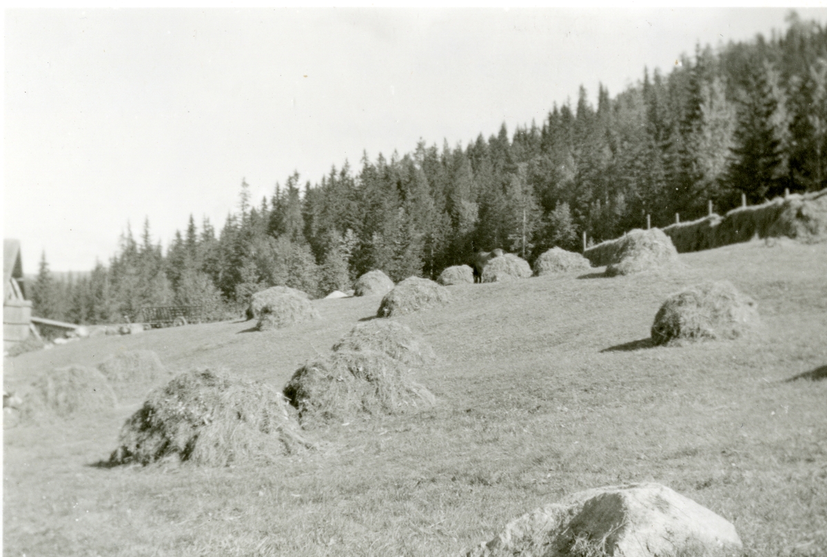 Forsåter i Haugen / Landsendhaugen i Hedalen på 1950-talet.