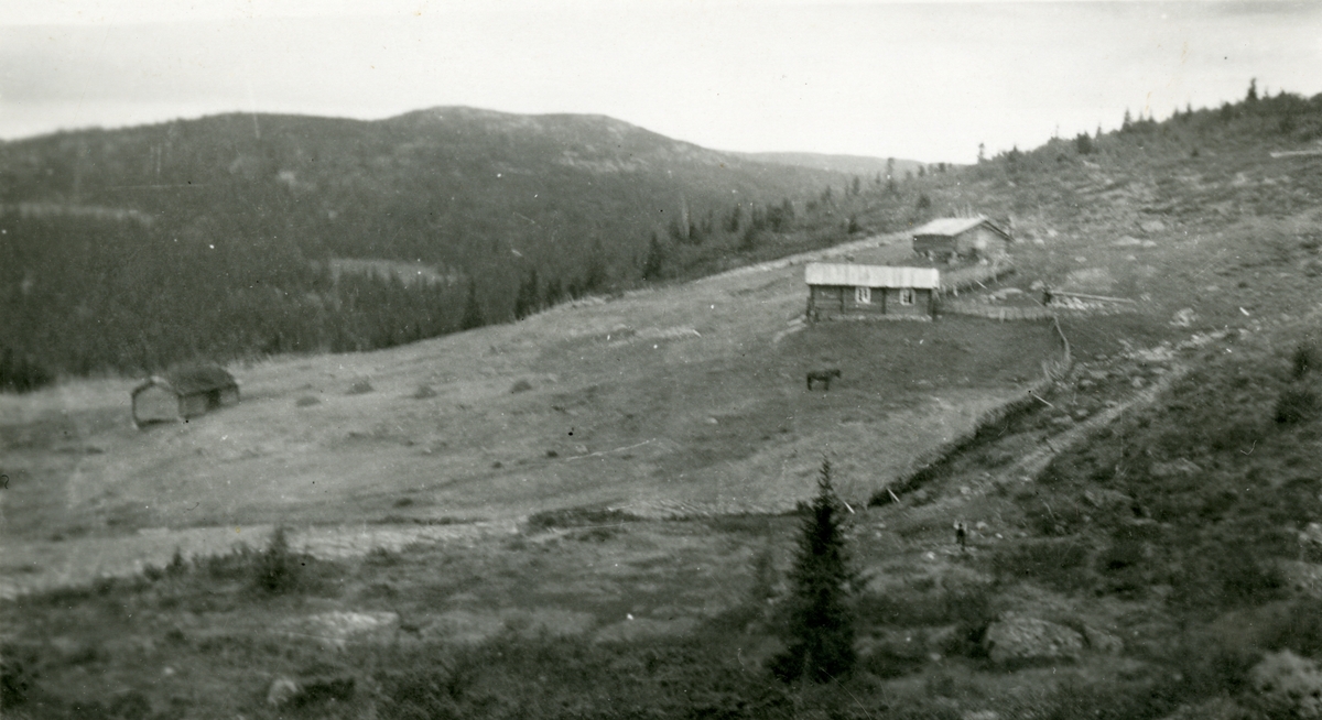Bergesetra til Bergsrud i Djupedal.