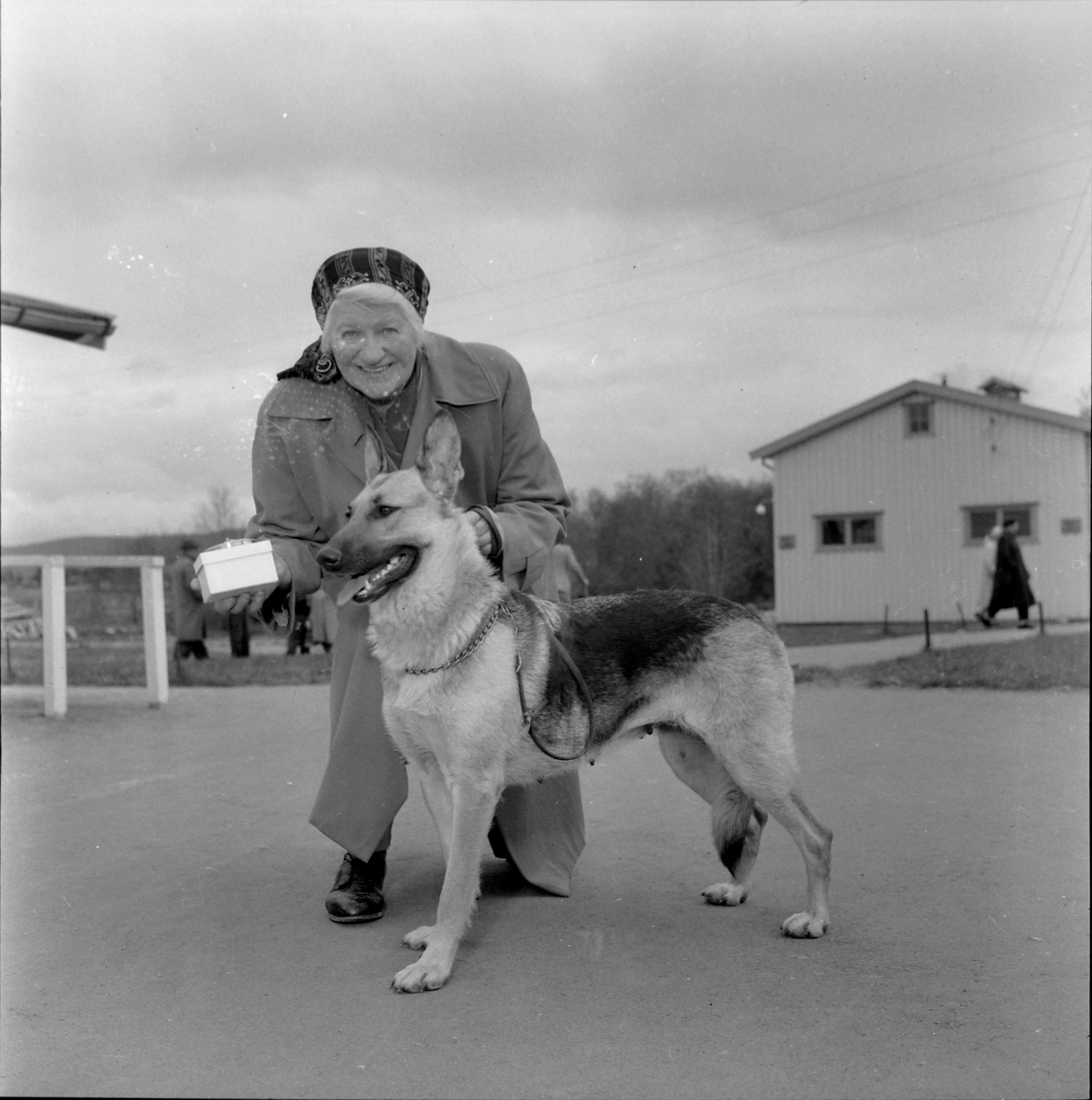 Schäferhundutstilling på Leangenbanen