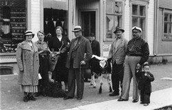 Åtte personer og en kalv oppstilt for fotografen på fortauet