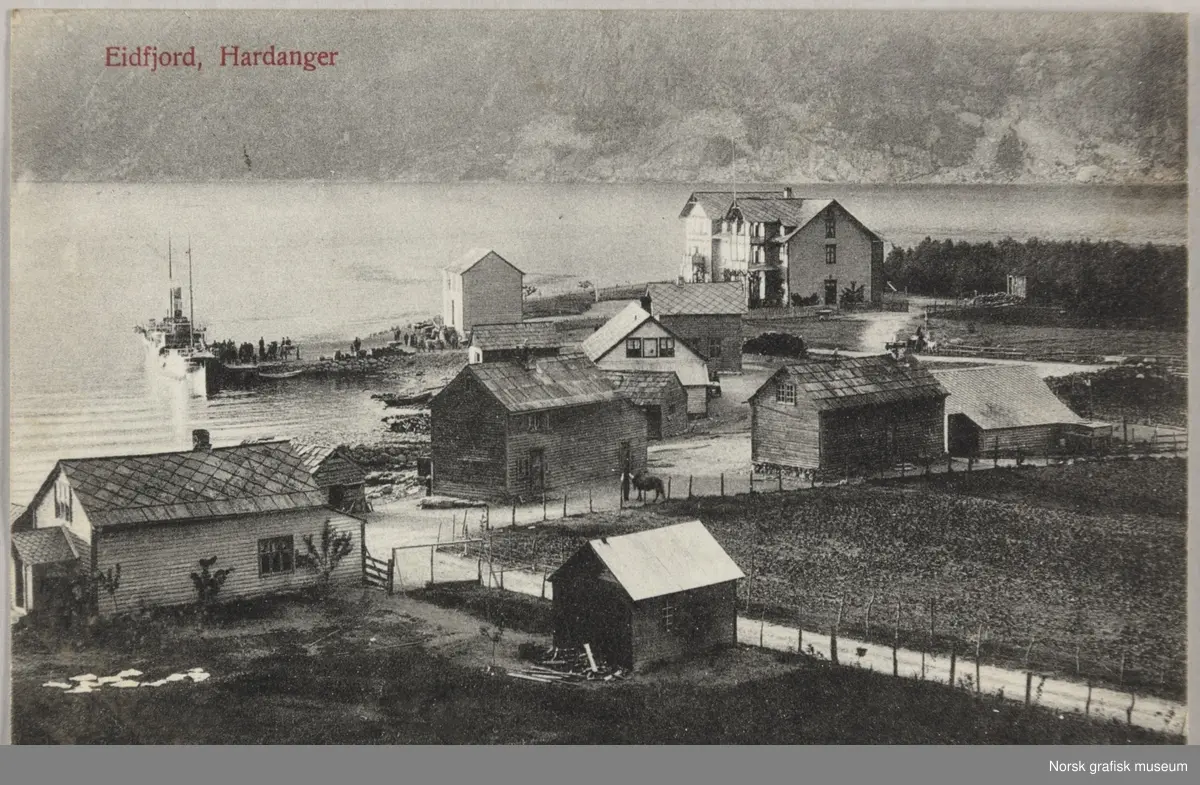 Postkort med bilde fra havna i Eidfjord i Hardanger. Det ligger et turistskip til kai. I forgrunnen er det gårdsbebyggelse.