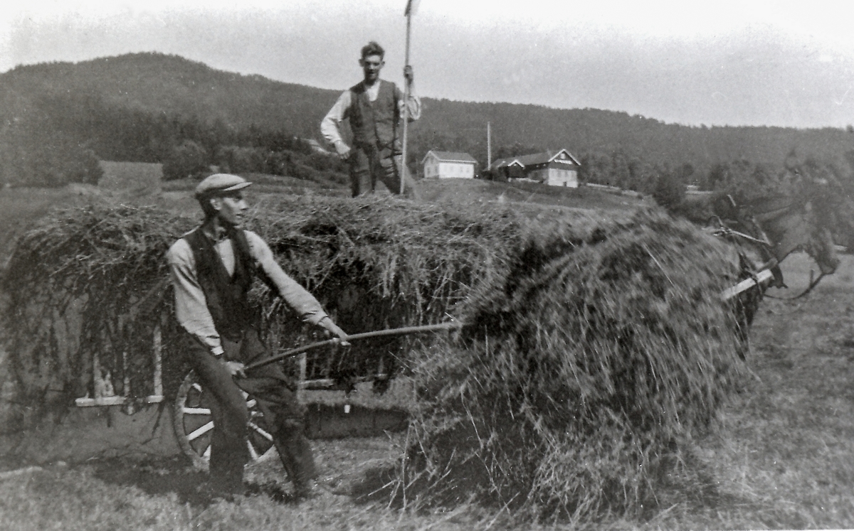 Høyonn Halvor Omholt (lesser) Olaf Nystuen (tråkker). Nårlia sees i bakgrunnen