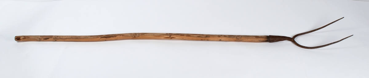 Høygaffel med to tinder. Tindenes feste er en jernhylse der skaftet er spisset og presset nedi, forsterket med lang jernspiker.