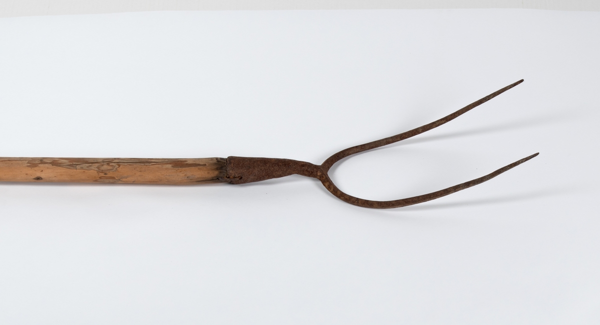 Høygaffel med to tinder. Tindenes feste er en jernhylse der skaftet er spisset og presset nedi, forsterket med lang jernspiker.