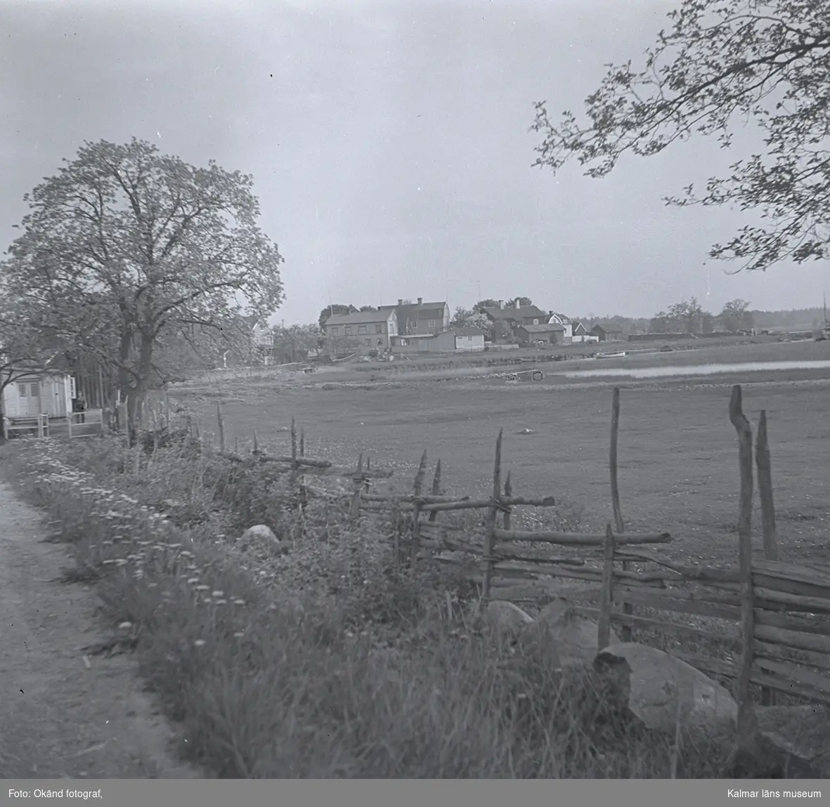 Pataholm. Gärdsgård i förgrunden. Vassrugge.