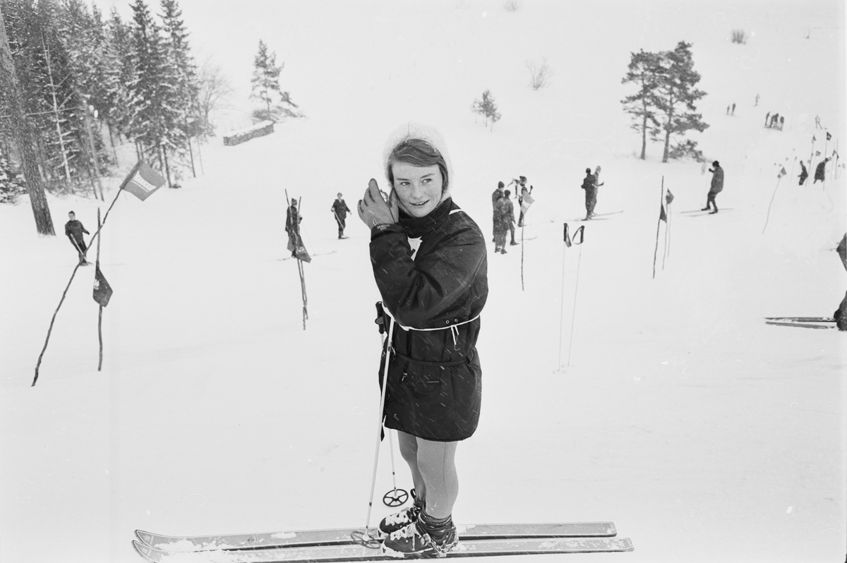 Skidtävling, Uppsala 1965