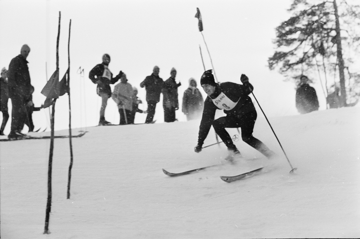 Skidtävling, Uppsala 1965