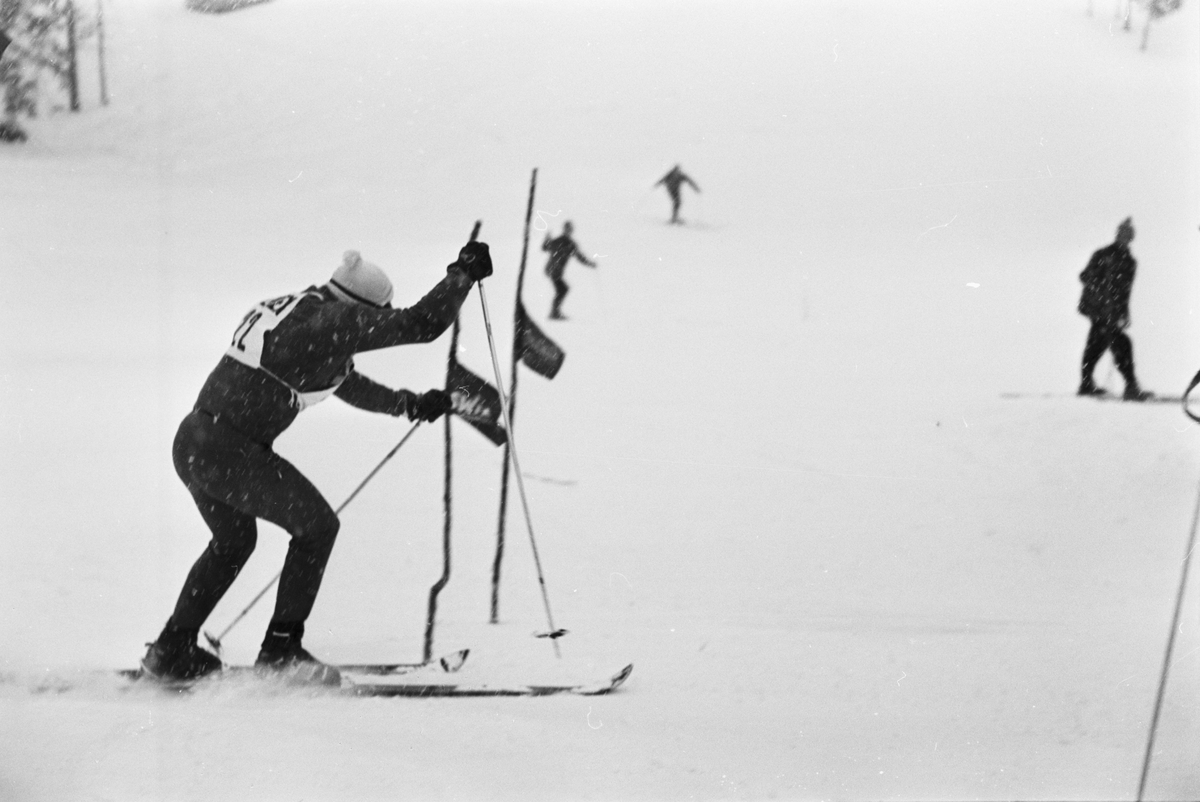 Skidtävling, Uppsala 1965