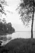 Ingelstad, Torsjön, 1943.