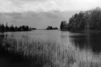 Toftaholm, sjön Vidöstern, 1946.
