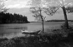 Toftaholm, sjön Vidöstern, 1946.