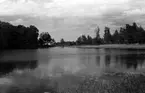 Toftaholm, sjön Vidöstern, 1946.