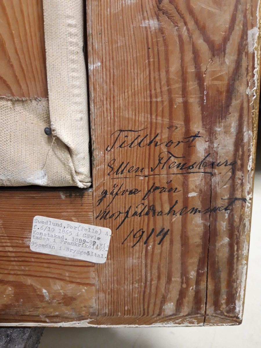 Porträtt föreställande Nils Zetterström, 1823-1911, i profil.