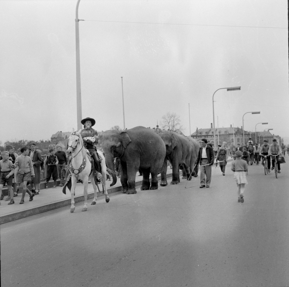 Cirkus Berny i byen. Buffalo Bill i Prinsens gate og på Elgeseter bru