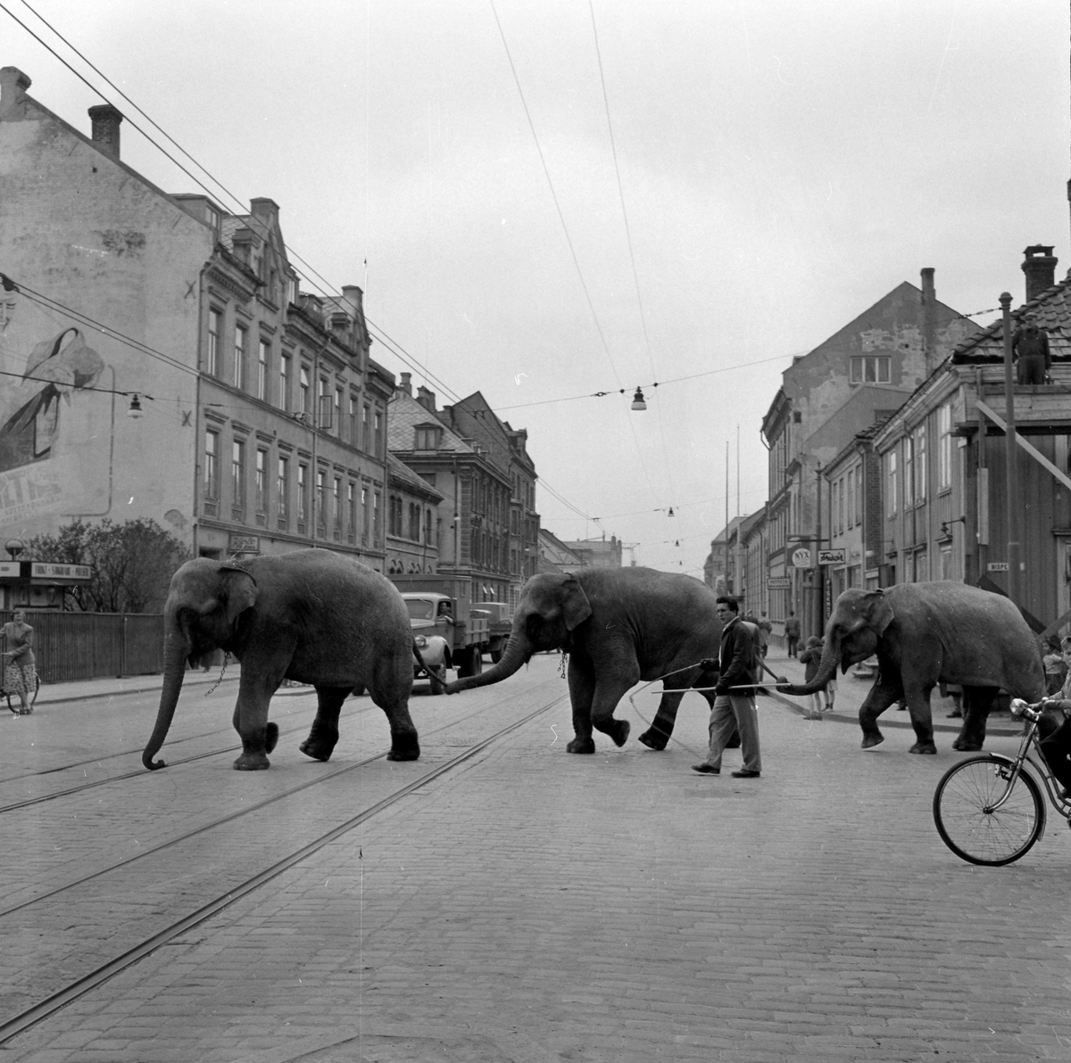 Cirkus Berny i byen. Buffalo Bill i Prinsens gate og på Elgeseter bru