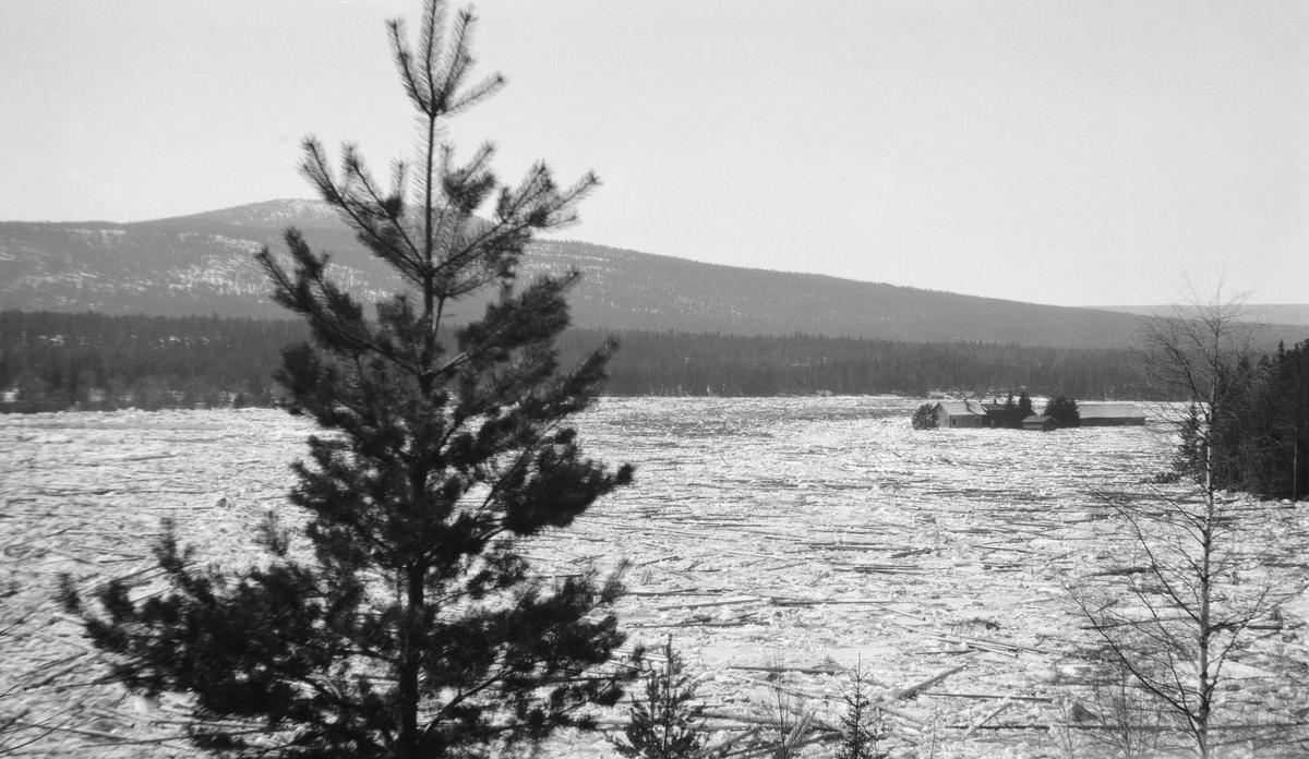 Isgang i Glomma ved Alme i Åmot våren 1928.  Fotografiet er tatt fra en elvebakke mot ei bred elveslette som er fullstendig dekt av isblokker med fløtingstømmer som ligger hulter til bulter.  Til høyre i bildet et par hundrede meter fra opptaksstedet ses et lite gardsbruk omgitt av ismasser og tømmer.  Langs vassdraget ligger det slake åser med barskogsvegetasjon.

Den 2. mai 1928 rapporterte regionavisa Østlendingen slik om forholdene i Åmot, to dager før dette fotografiet ble tatt:

«Ødeleggelsene i Åmot.
Ved gårdene Alme og Kåsen så det i går stygt ut. På begge gårder ligger det svære lag av is og tømmer som elven har slynget op. Folk som har vært tilstede da den voldsomme isgang gikk søndag eftermiddag, forteller at tømmerstokkene blev slynget høit i været og store trær langs elvekanten knakk som fyrstikker. På Alme ligger isblokkene veltet op langs husveggene – i sannhet et hyggelig syn for eierne, som nu skulde tatt fatt med vårånna. Det er nu ialt 8 jorder som er fullstendig oversvømmet av vann. På flere av disse er jordveien ødelagt for lange tider. På Alme har elven feiet med sig all jorden over hele eiendommen.

Ovenfor Alme gikk det i går eftermiddag flere mindre isganger. Det blev fortalt av eldre folk, at lignende isganger har det ikke vært i Glåma siden 1854.

Ved ½ 3-tiden i går eftermiddag gikk en svær isgang ved Sorknes. Store isblokker blev ført innover jordet og vannet fosset omkring husene uten dog å anrette noen større skade på disse. Et par mindre hus blev stående under vann, men op til selve hovedbygningen nådde ikke vannet. Store isblokker blev liggende like utenfor stuedøren.

I går eftermiddag vart to jernbanebruer mellem Rena og Steinvik på nippet til å bli tatt av isgang. Særlig var Evjebrua slemt utsatt. Vannet graver stygt på brukarret. Ved brua ved Vik er der linjebrudd.

Vannet fortsatte også sitt undergravingsarbeide langs jernbanelinjen. Fra Kilde gård og opover på en strekningh av mange kilometer ligger nu elven fullpakket av is og tømmer. Man mener dog at det ikke var noen fare for Rena bru når denne haug løsner, da brua jo bare har et spenn. Men en kan jo ikke vite, brua ligger lavt over elven. Når den store is- og tømmerdam løsner vil den antagelig ikke volde så stor skade i Renas nærhet. Det blir de lavereliggende jorder mellem Rena og Elverum som blir truet.

På Sorknes blev man i går eftermiddag ferdig med å flytte ut besetningen. Det har vært et drøit stykke arbeide.»