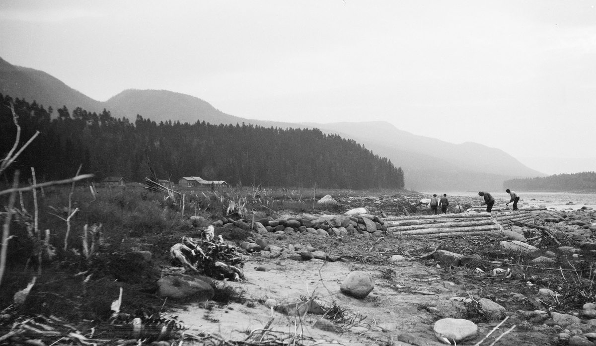 Bygging av skådam i Glomma ved Viholmen i Stor-Elvdal høsten 1929.  Fotografiet er tatt fra en sandete elvebredd med en del rullestein.  Skådammen bygges på skrå ut fra denne bredden, med en liten natursteinsmur innerst og trekonstruksjon ytterst.  Avstanden fra fotografen til dammen er så lang at det er vanskelig å si sikkert hvordan tredammen er konstruert, men et annet samtidig bilde fra samme lokalitet (jfr. SJF. 1990-00368) tyder på at denne skådammen var en tømmerforblendet natursteinskonstruksjon.  Da bildet ble tatt arbeidet fire menn med dambygging.  Poenget med konstruksjonen har antakelig vært å forebygge at fløtingstømmeret skulle drive innover den bakenforliggende elvesletta, der vi skimter hustakene på et lite bruk.  Bakenfor dette igjen flere høydedrag med barskog. 