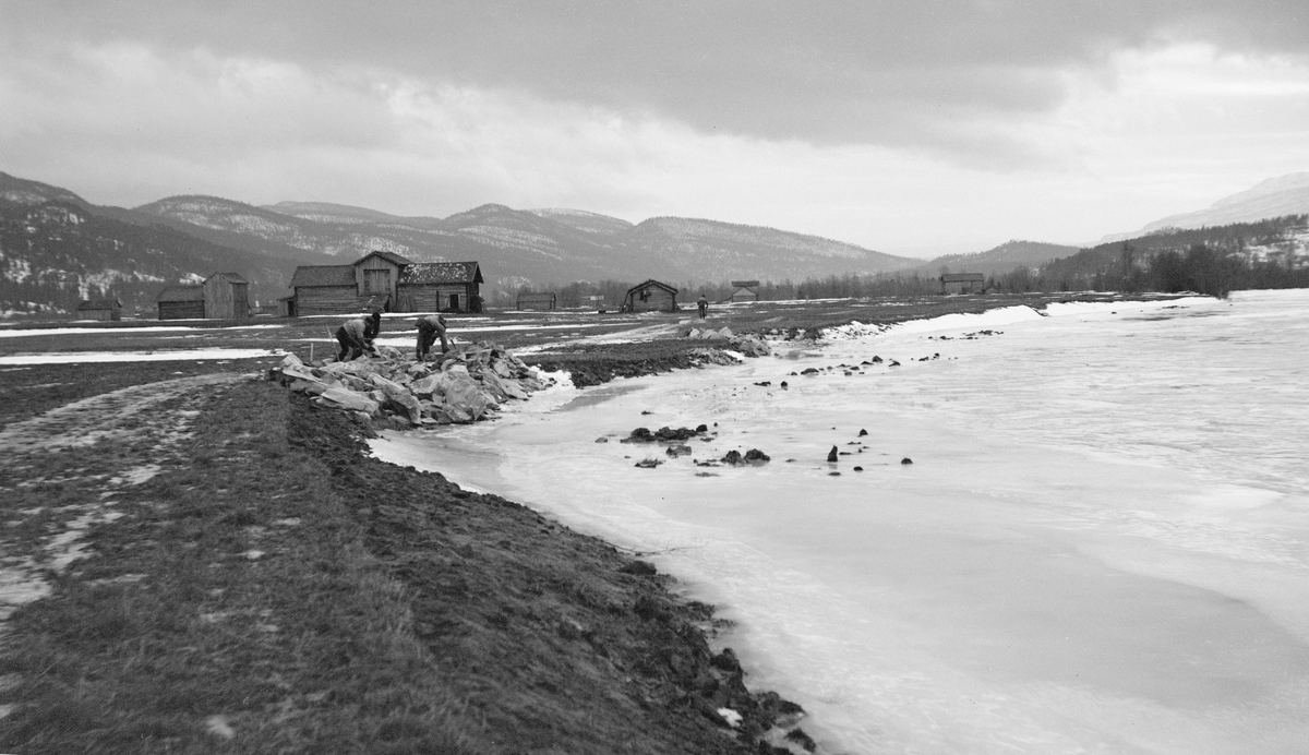 Elveforbygningsarbeid ved Vestgårdsøya i Stor-Elvdal vinteren 1932.  Fotografiet er tatt fra Glommas bredd.  Elva er islagt mens den innenforliggende elvesletta med grasvoller bare har mindre flekker med snø.  Et par karer arbeider med å fylle stein i en forbygningsvoll i en elvesving.  Det er rimelig å tenke seg at dette kan ha vært et sted der Glomma har hatt tilbøyeligheter til å grave seg inn på kultivert mark ved stor vannstand.  Slikt skapte naturlig nok problemer for fløtinga også, i og med at virket kunne bli liggende igjen på de vide, flate engene når vannstanden gikk ned igjen.  På elvesletta ligger flere laftehus, antakelig høyløer.  I bakgrunnen åsrygger med barskog. 