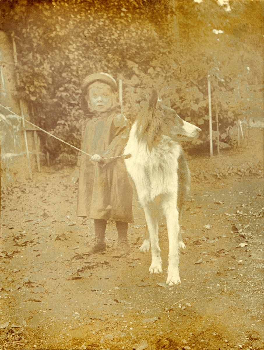 1)Anders Castus Svarstad på sin mors fang og med en skotsk fårehund.2)Anders 3)Anders med hunden 4)Anders sammen med sin far, Anders Castus Svarstad, og hunden. 