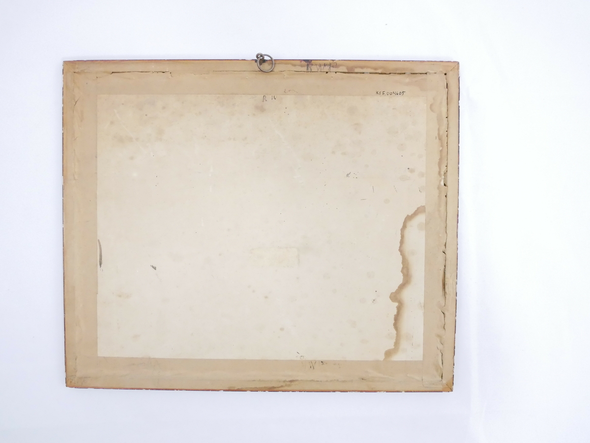 En større gruppe med kvinner i ulike alder står foran en dobbel tredør med jernbeslag og en portal med steinutsmykning. Det er usikkert hvem kvinnene er og hvor bildet er tatt. 