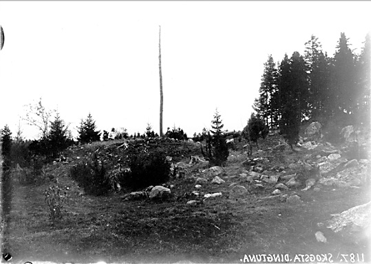 Gravfältet på moränbacke vid gränsen mot Timmelsta på Skogsta gårds ägor.
Fornlämning RAÄ Rytterne 160:1.