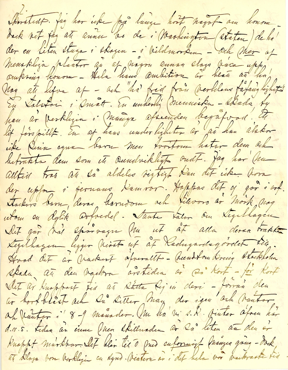 Brev skrivet 1900-11-05 till Fredrique Hammarstedt från vännen Sophie. Brevet består av 16 sidor text på åtta pappersark. Brevet hittades utan kuvert i en anteckningsbok som tillhörde Ninni och Fredrique Hammarstedt. Handskrivet i svart bläck.