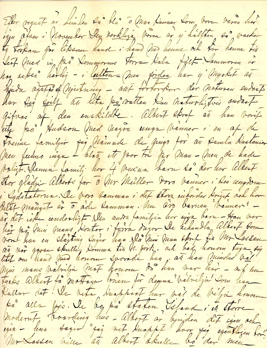 Brev skrivet 1900-11-05 till Fredrique Hammarstedt från vännen Sophie. Brevet består av 16 sidor text på åtta pappersark. Brevet hittades utan kuvert i en anteckningsbok som tillhörde Ninni och Fredrique Hammarstedt. Handskrivet i svart bläck.