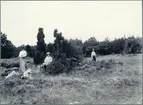 Halleberg. Återstoderna av grundmurarna till torpet Snipan.