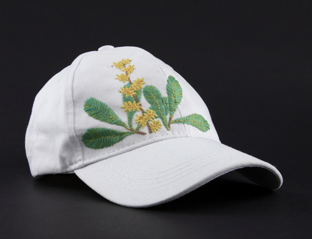 Hvit cap med brodert Myrica Gale (Pors) i front. Motivet er brodert i fargene grønn, brun og gul. Plantemotivet er knyttet til forestillingen om at planten var abortfremkallende, mens den i realiten var gifitg og dødelig for gravide og innefektiv som abortmiddel. Kunstner skriver om verket: "Prosjektet handler om å bevare kunnskapen om de gamle hjelpemidlene, en kunnskap som ikke kan gå tapt når retten til sikker abort blir truet"