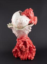 Havbeger for salt, på korall med havhest [Pokal]