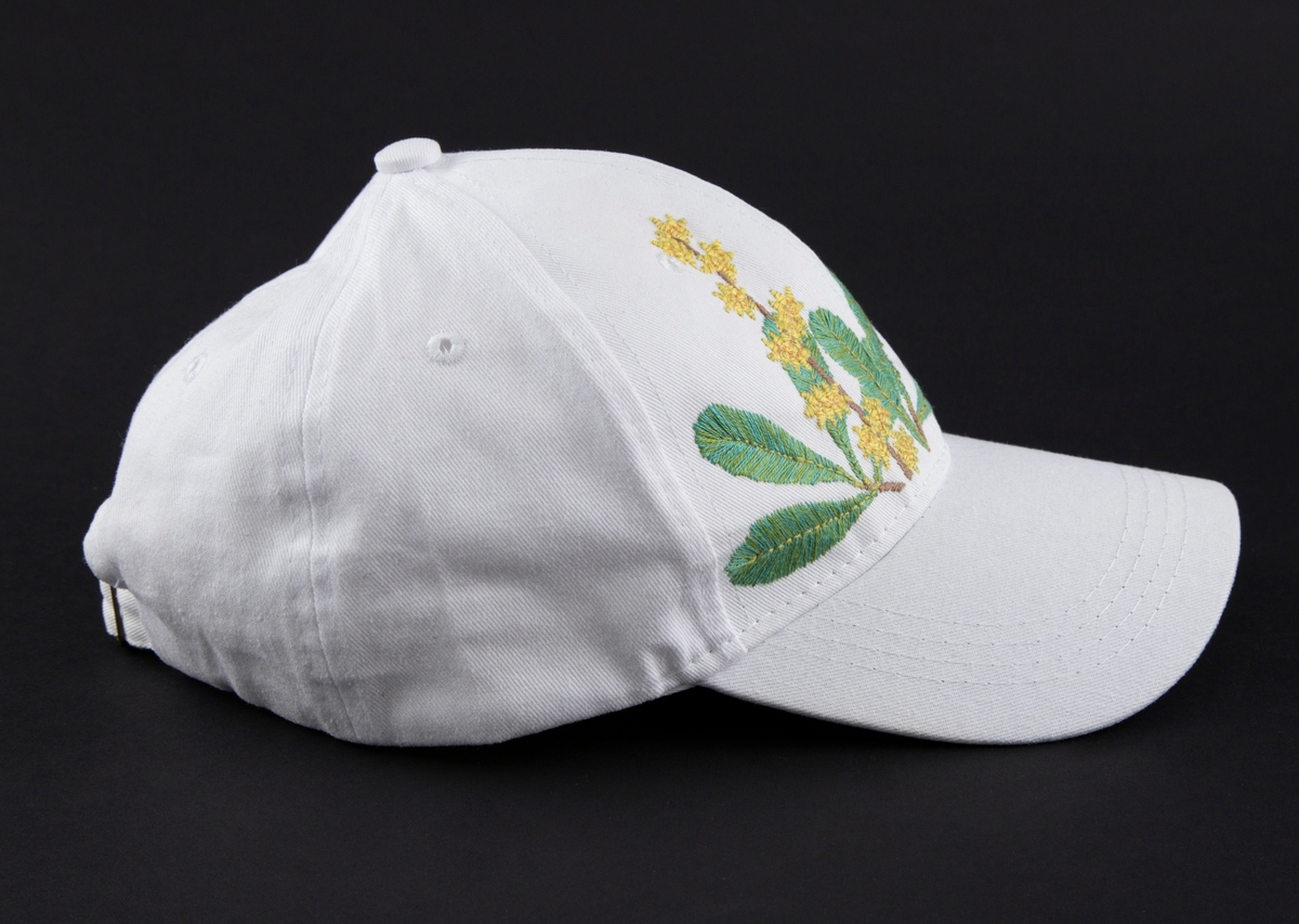 Hvit cap med brodert Myrica Gale (Pors) i front. Motivet er brodert i fargene grønn, brun og gul. Plantemotivet er knyttet til forestillingen om at planten var abortfremkallende, mens den i realiten var gifitg og dødelig for gravide og innefektiv som abortmiddel. Kunstner skriver om verket: "Prosjektet handler om å bevare kunnskapen om de gamle hjelpemidlene, en kunnskap som ikke kan gå tapt når retten til sikker abort blir truet"