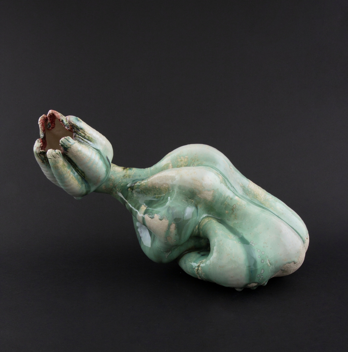 Håndmodellert skulptur i glasert steingods i nesten liggende positur. Den har en organisk og asymmetrisk kalebassform som ender i en tulipanform med halvåpne kronblader. Keramikkskulpturen inngår i en installasjon bestående av 26 deler i ulike størrelser og med individuell utforming. De asymmetriske variasjonene gir et inntrykk av bevegelse, og den lett sykelige fargepaletten gir et uhyggelig og grotesk preg. Samtlige deler minner om kjøttetende planter.