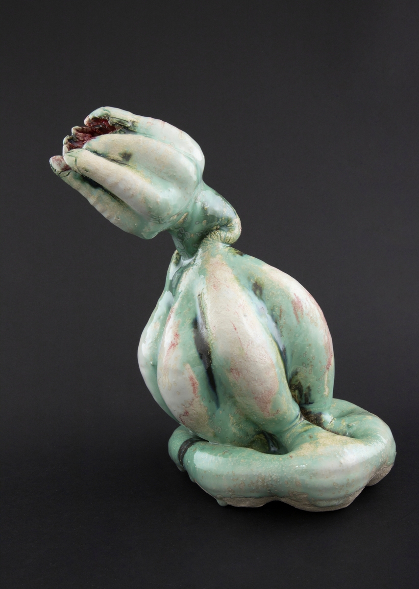 Håndmodellert skulptur i glasert steingods med henslengt kropp. Den har en organisk og asymmetrisk kalebassform som ender i en tulipanform med halvåpne kronblader. Keramikkskulpturen inngår i en installasjon bestående av 26 deler i ulike størrelser og med individuell utforming. De asymmetriske variasjonene gir et inntrykk av bevegelse, og den lett sykelige fargepaletten gir et uhyggelig og grotesk preg. Samtlige deler minner om kjøttetende planter.