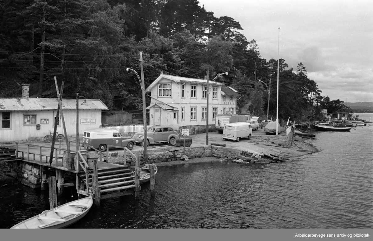 Malmøysund: Malmøya. Juli 1965