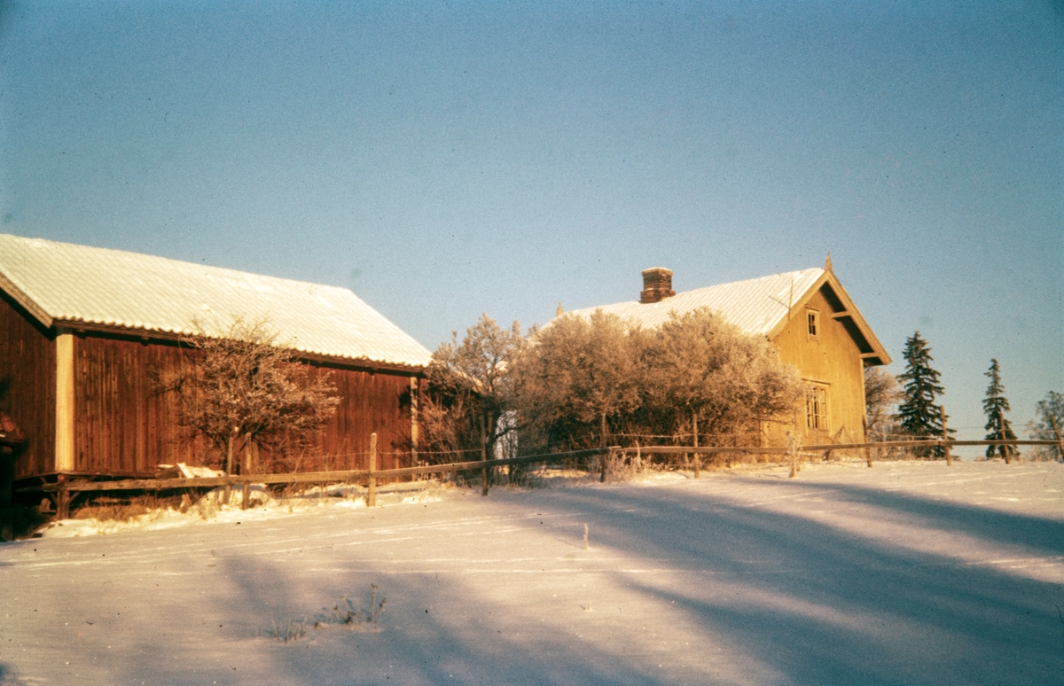 Bilde fra plassen, husmannsplassen Hestehagen, under Atlungstad Gård, Ottestad, Stange.