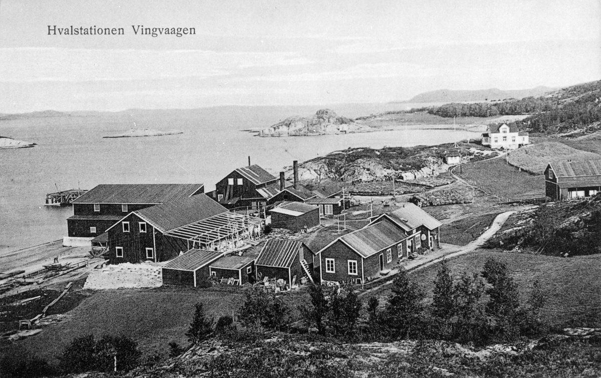 Vingvågen hvalstasjon (kopi)