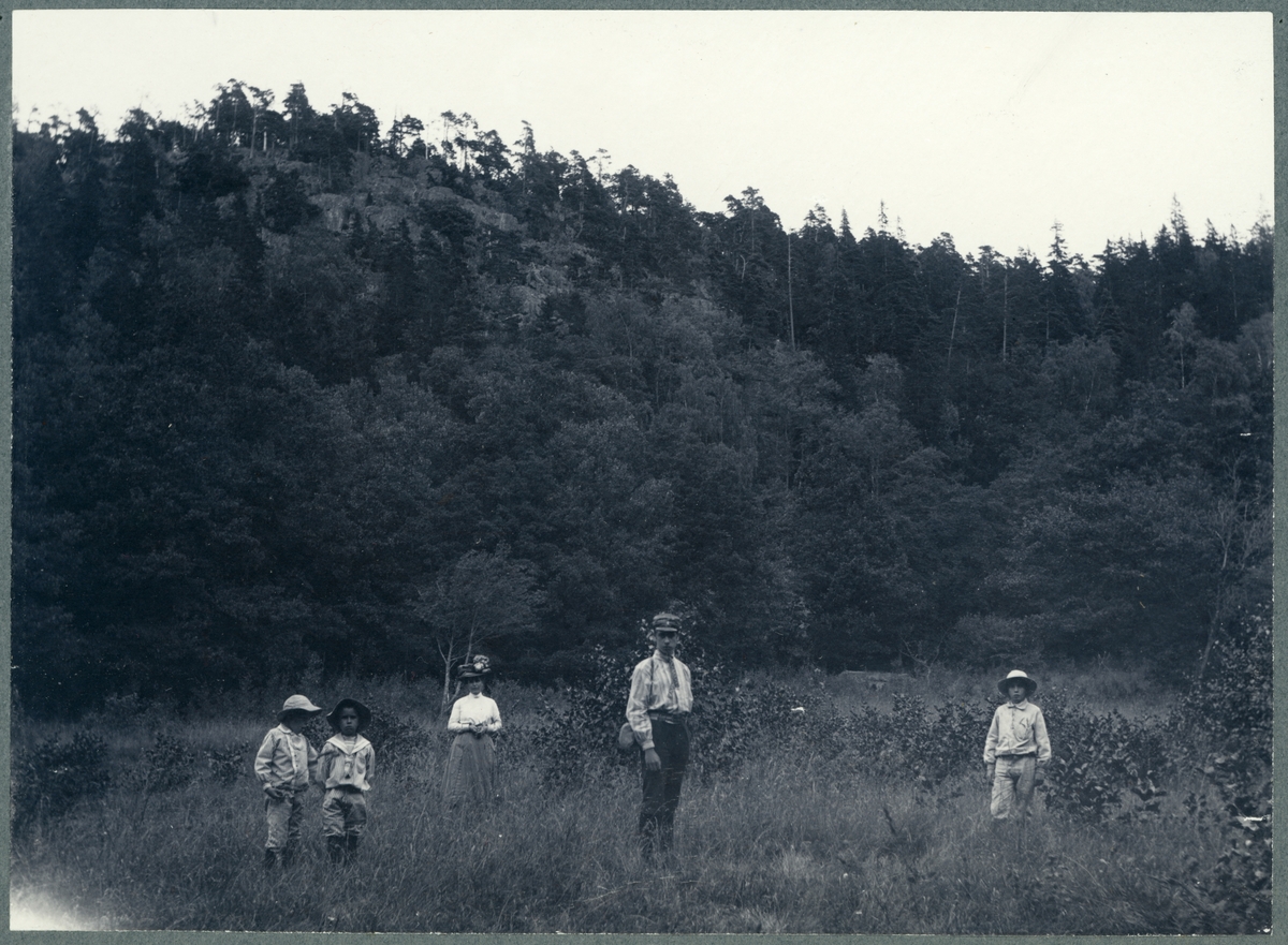 Halleberg. Ovandalen ”Motiv från Övendalens västra ände, inåt berget och dalen.”