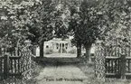 Parti från Väckelsång. Vy genom en kort allé mot ett bostadshus med veranda, 1913.
Troligen Väckelsångs prästgård.