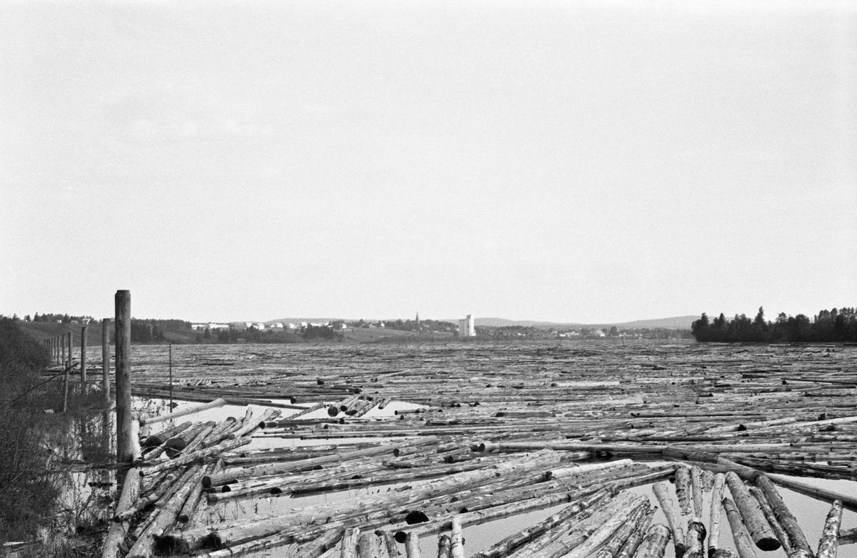 Tømmer i Årnes lense i Glomma i 1954. Dennet lensa lå like nedenfor Vormas innløp i Glomma. Da dette fotografiet ble tatt skal det ha vært samlet cirka 600 000 tømmerstokker i denne lensa, Tømmeret ble holdt på plass av kraftige dobbeltlenser (jfr. SJF.1990-02045). I tillegg ser vi at det var etablert ei pålerekke, som sannsynligvis skulle tjene som støttepunkter for en lensearm, inne ved elvebredden. Tømmeret som lå i Årneslensa da dette fotografiet hadde varierende kvalitet. Mesteparten var antakelig slipvirke som etter hvert skulle til treforedlingsindustrien nederst i vassdraget, I bakgrunnen skimter vi Årnes, kommunesenteret i Nes, der kornsiloen og kirka raget over den øvrige bebyggelsen.