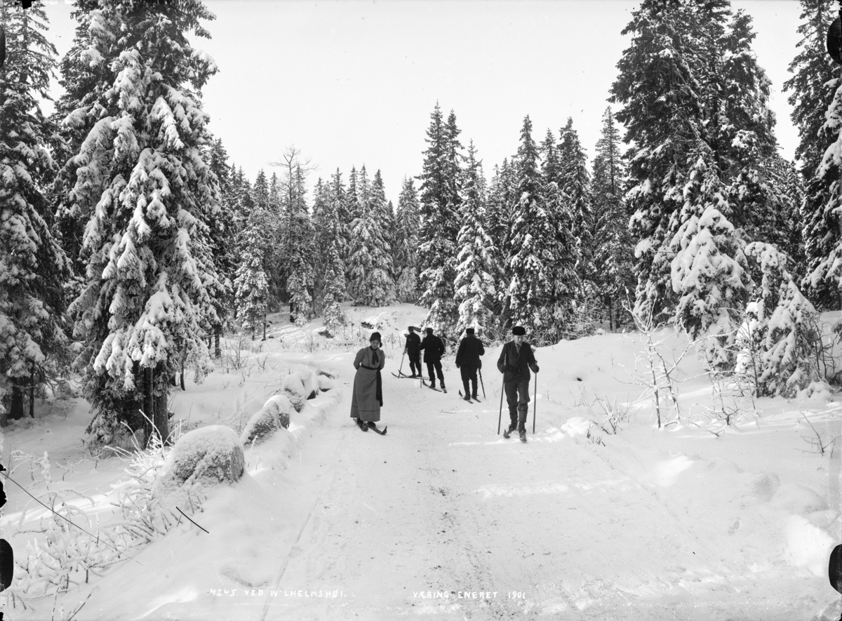 Folk på ski i skogen.