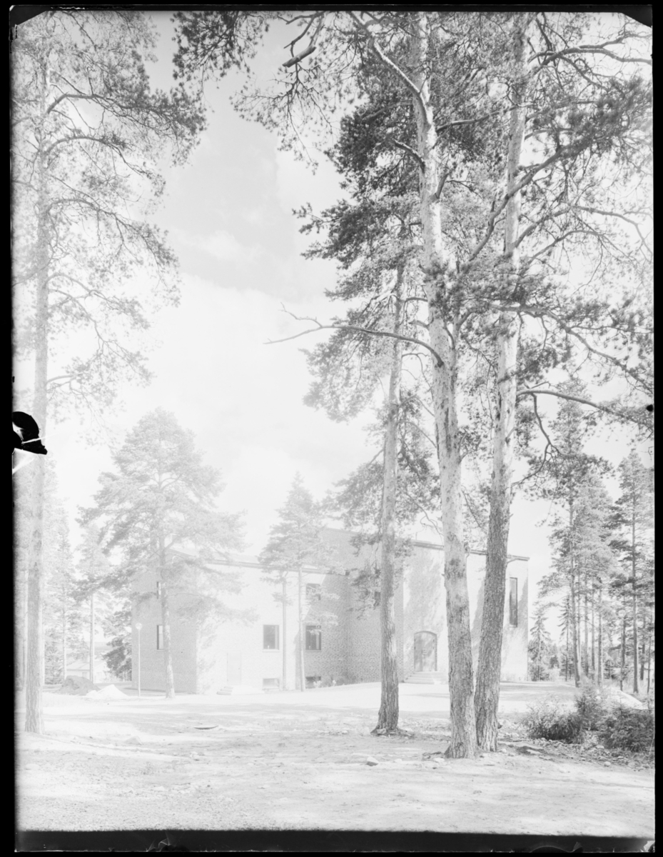 Plantyp-Enskeppig, Kyrka, Salkyrka