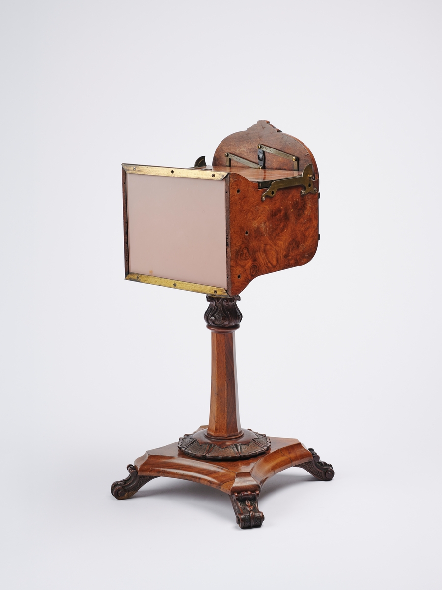 The Natural Stereoscope er en luksusutgave av en stereobetrakter på stativ, produsert av J. Wood. Betraktere som dette var ment til å stå på et bord der en person kunne sette seg ned og titte inn. 
Stereokameraene ga en svært populær form for bilder på slutten av 1800-tallet. Stereofotografi var med på å forme fotoindustrien. Folk ønsket å se mer av verden, og stereofotografiet gjorde det mulig å forestille seg at man var til stede i motivet, grunnet en optisk effekt som utnytter dybdesynet vårt. 
Et stereokamera har to objektiver med en avstand på litt over seks centimeter, omtrent samme avstand vi har mellom pupillene. En eksponering gir dermed to bilder av samme motiv. Når dette paret med fotografier blir montert, f.eks. på en papplate, og sett på gjennom en stereobetrakter, fremstår motivet som tredimensjonalt.