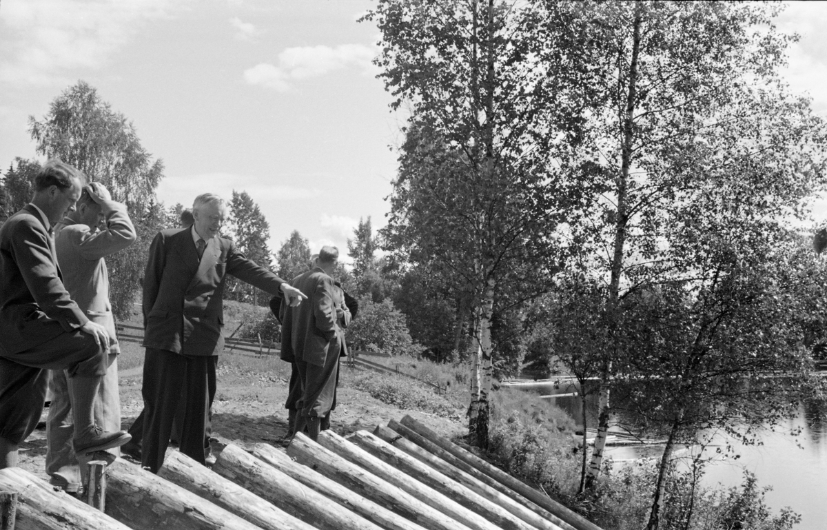 Befaring ved utislagsplass for lastebiltransportert tømmer ved Vorma, i nærheten av Svanfoss, sommeren 1954. På denne tida ble det bygd et vidgreinet nettverk av skogsbilveger, og det viste seg i mange tilfeller vel så rasjonelt å hente tømmeret ved disse vegene med lastebiler for så å kjøre det til hovedvassdraget, i stedet for å organisere fløting i små sidevassdrag der det ofte var for lite vann til å få tømmeret. Glomma fellesfløtingsforening møtte denne utviklinga ved å etablere utislagsplasser, der lastebilene kunne stanse på elvebrinken og velte tømmeret utfor en elveskråning som var forsterket med et skråplan av tre - som på dette bildet - eller jern. Da dette fotografiet ble tatt var en del dresskledde menn - antakelig fra administrasjonen og styret i Glomma fellesfløtingsforening - på befaring for å se på en slik velteplass.