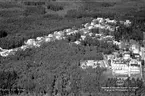 Konga, 1950.