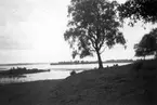 Okänd sjö, 1940.